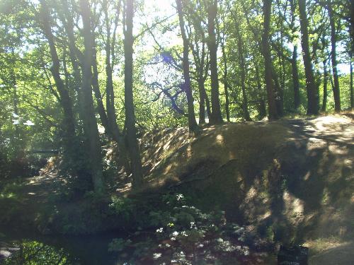 This is the wilderness at the bottom of my garden - This is the area where i found my coin. It is part of wilderness in the open countryside at the bottom of my garden. It is a peaceful, spiritual place and has links with paganism and early primative methodism blessed be