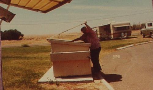 How depressing! Dumpster diving! - I wonder what she is looking for? Is she searching for cans, money, or food? Poor lady!