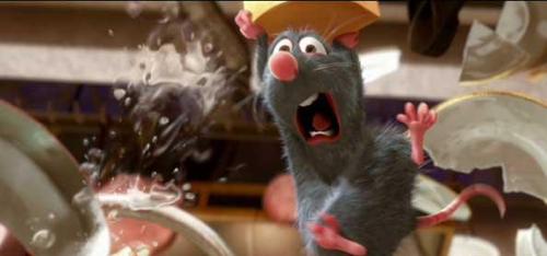 ratatouille - Scene form 'ratatouille' :))
