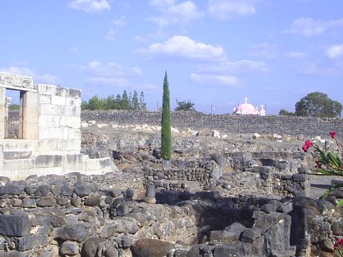 Ruins in Israel - These were ruins in Israel. I love this picture because of the small pops of color in the midst of total destruction.