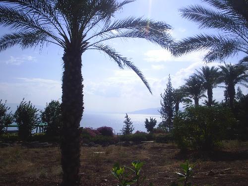 Sea Of Galilee - This is One of my favorite spots in all of Israel! The water is crystal clear, there is always a light breeze and you can almost imagine old ships sailing through the water. I also love this picture because it looks like the leaves of the tree make a heart.