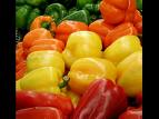 Bell peppers - Different color bell peppers