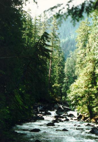 NATURE - NATURE