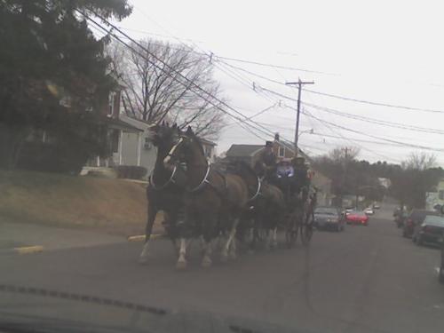 Horse Drawn Carriage - Coming home from a Sunday Brunch, we got to see a bit of a suprise come driving up the road in front of our place. A horse drawn carriage with the riders and driver in Elizabethan era clothes. I'm not sure if there was anything special going on or just something they do for the holiday.