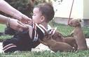 puppies - Hi friends, see how are these puppies helping to their master's child!!!!!!!!!