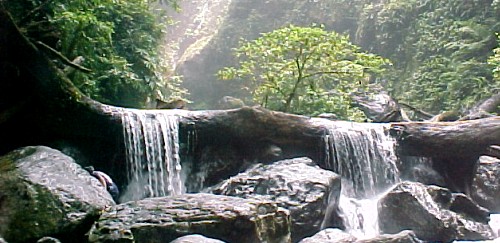 Ditumabo - Aurora, Quezon