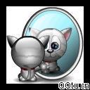 a kitty is looking at itself in the mirror - a lovely kitty is looking at itself in the mirror.