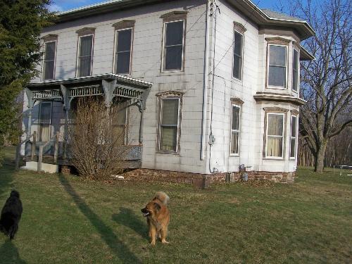 front of our rickety old house - LOL it needs work, but its a decent size, with 50 acres of land and I love it!