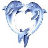 Dolphins - Dolphins