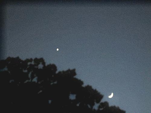 Venus & Moon - This was taken Monday or Sunday night. Blurry as I couldn't hold the camera still. Hahaha.