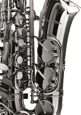 Saxophone - Michel-Ditlove-Saxophone