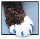cat claw covers -  cat's paw with claw covers