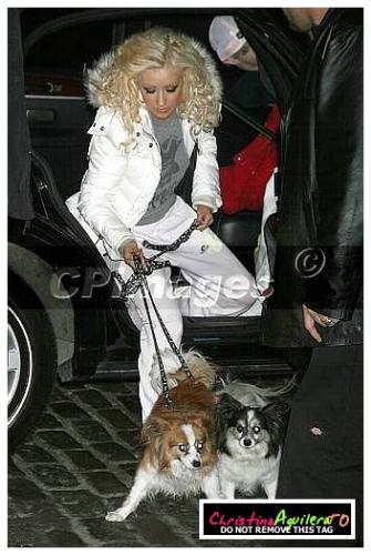 chrissy - christina stepping out with her dogs