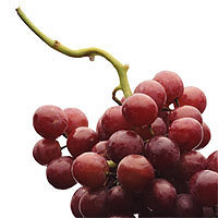 Red Grapes - This is a picture of a bunch of red grapes.