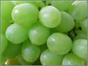 Green Grapes - This is a picture of a bunch of green grapes.