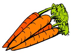 Carrots - A picture of carrots.