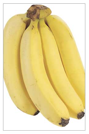 Bananas - A photo of a bunch of bananas.