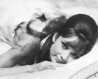 Audrey Hepburn - audrey hepburn