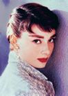 Audrey Hepburn - audrey hepburn