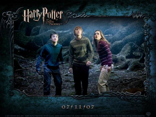Harry Potter and the Order of the Phoenix - Three characters ready for anything
