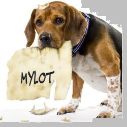 mylot - this is my banner....... 