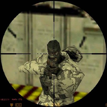 Head shot with mag! - Its photo showing terros head in centre of the scope of AWP or magnum sniper...comin to this gun its very powerful and gives 444 damage when given a headshot with it..really superb gun