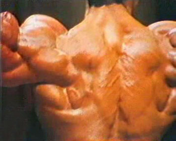 body - builder