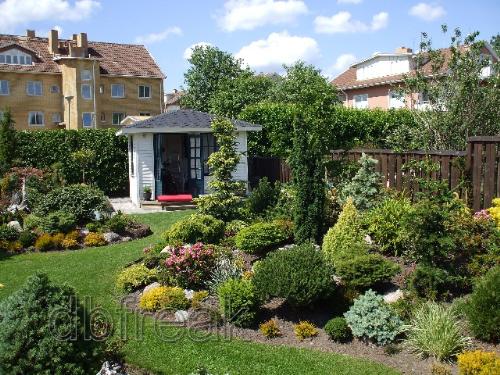An oasis in the city - The oasis...