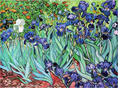 Van Goh's Iris - Iris was him favorite flower.