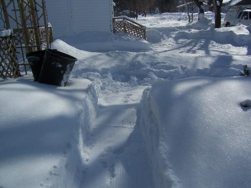 Try to Shovel This! - Snow, snow and more snow...shovel, shovel, shovel!