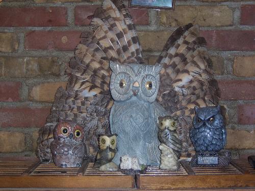 Collection of Owls on Shelf - More owls from my collection. I love owls because of their Mystical association with feminine and healing energies.