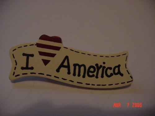 America Pin - Pin