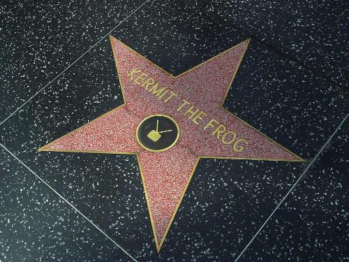 Walk of fame - Shows the star of Kermit the frog.