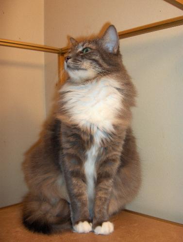 Dolly - Picture of Dolly