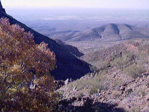 Desert Hike - A desert hike in the Franklin Mountains.