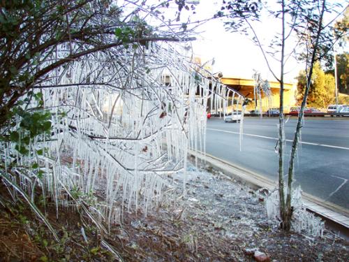 Winter wonders - Johannesburg, 22 May 2007