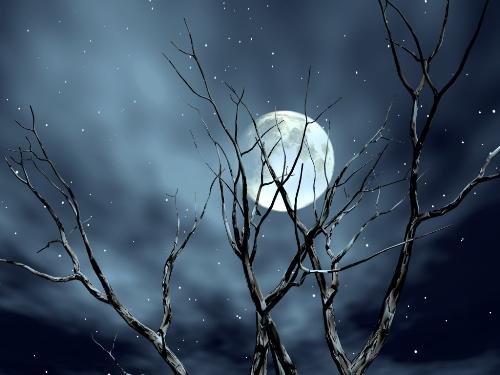 midnight - A dark gloomy midnight..