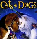 Dogs and cats - youre staning in my way, no! your standing in my way...