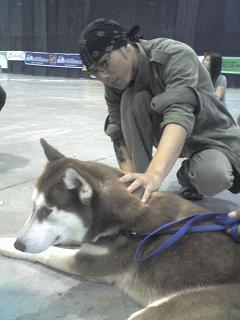 Siberian Husky & Me - a great dog!