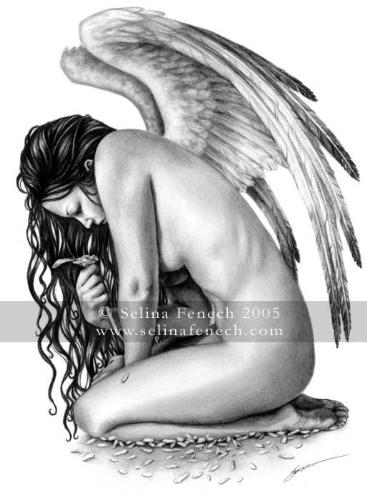 angel photo - skectch of an angel angel photo - skectch of an angel