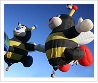Bee Balloons at Albuquerque Fiesta - The boy and girl bee balloons take off holding hands and separate once they are in the air.