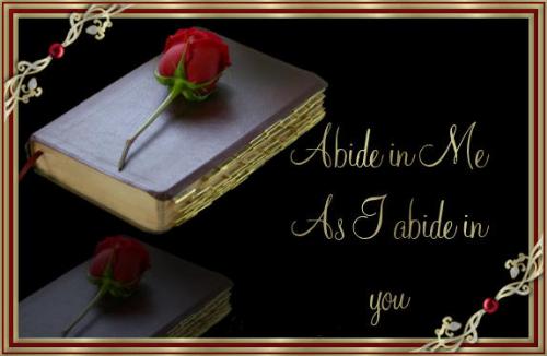 Bible - One of the Most important Books a person can read.