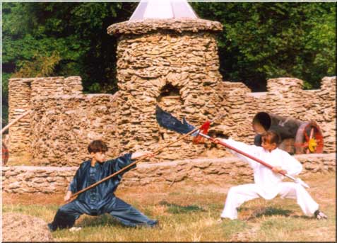 wushu - wushu fight