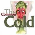 common cold - common cold disease