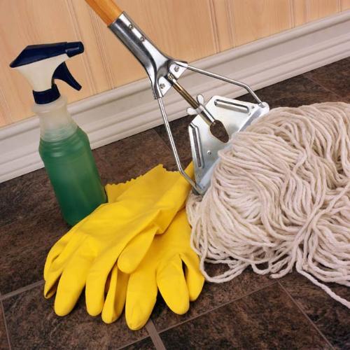 Cleaning Supplies - This photo shows part of the cleaning supplies that I used today while trying to keep the house clean... Cleaning Supplies - This photo shows part of the cleaning supplies that I used today while trying to keep the house clean...