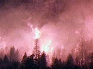 wildfire - wildfire near Lake Tahoe