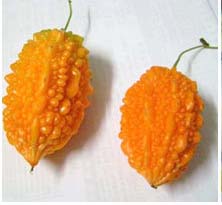 you can reject? - the balsam pear is ripe