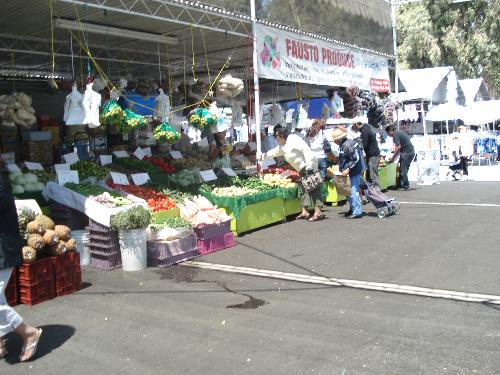 San Jose Flea Market Scene - Some flea markets have produce section, carrying organically grown fruits and vegetables.
