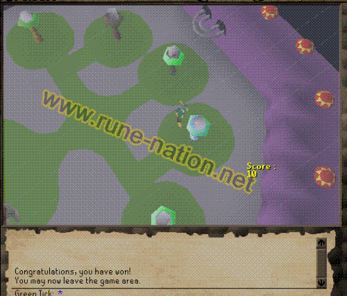 minigame - pic from rune-nation.net - National runescape help& community... i got these pics from rune-nation.net it's a minigame in runescape:)