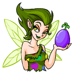 The Negg Faerie - Is she the one responsible for randomly giving out neggs around Neopia? She won't tell her secret so it's best not to even ask her if you see her.